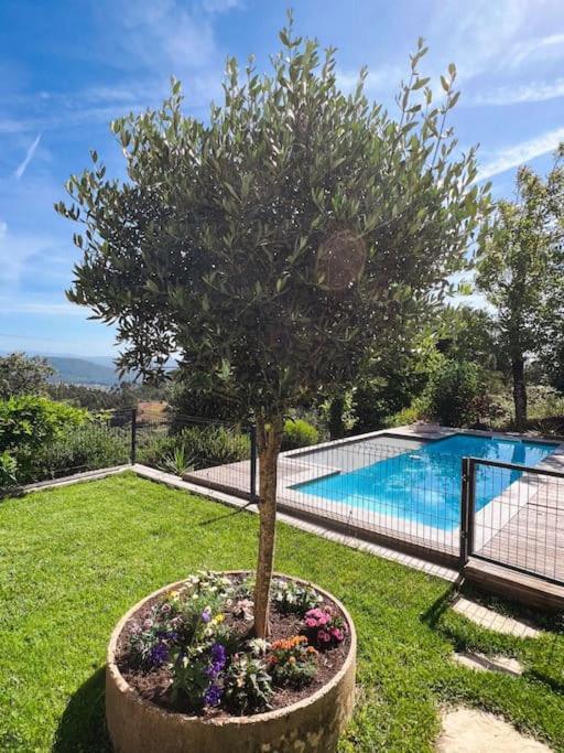 Casa Estrela Alvaiázere Exterior foto